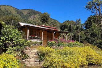 Exploring the Surging Demand for HomeStays in India