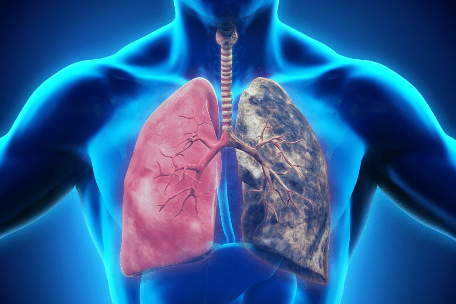 How Can You Cleanse Your Lungs?