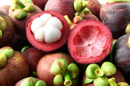 Mangosteen Benefits