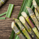SugarcaneForJaundice,